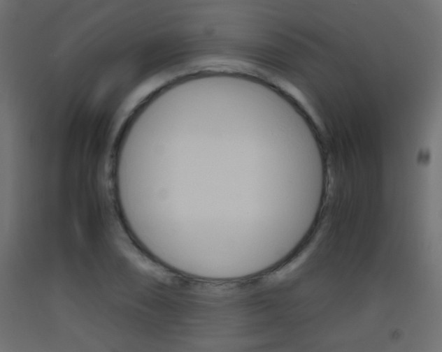 X0000093441074200710120941