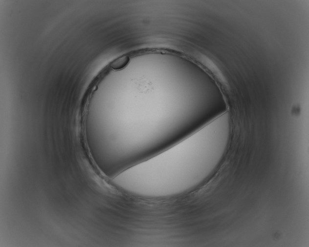 X0000093441076200710120941