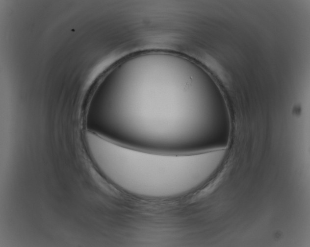 X0000093441077200710120941
