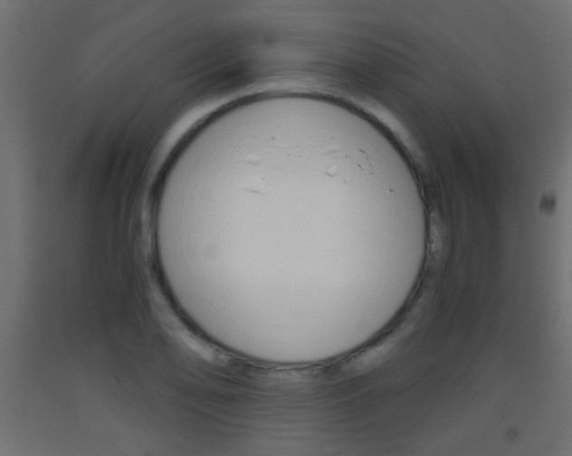 X0000093441078200710120941
