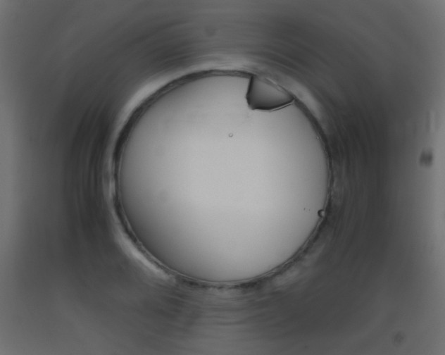 X0000093441080200710120941