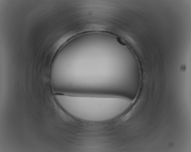 X0000093441081200710120941