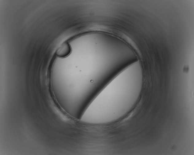 X0000093441082200710120941