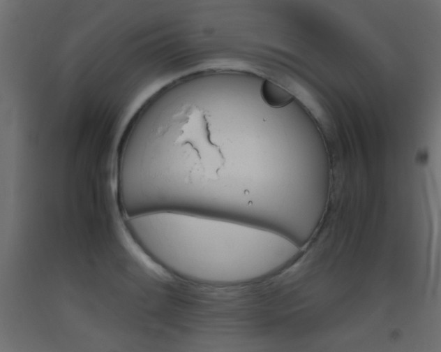 X0000093441084200710120941