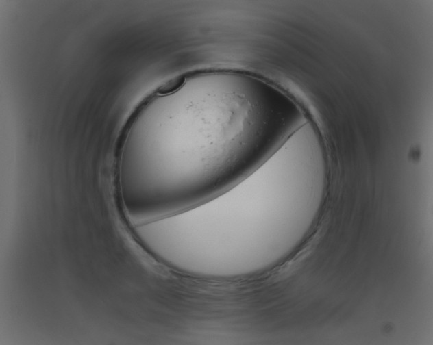 X0000093441085200710120941