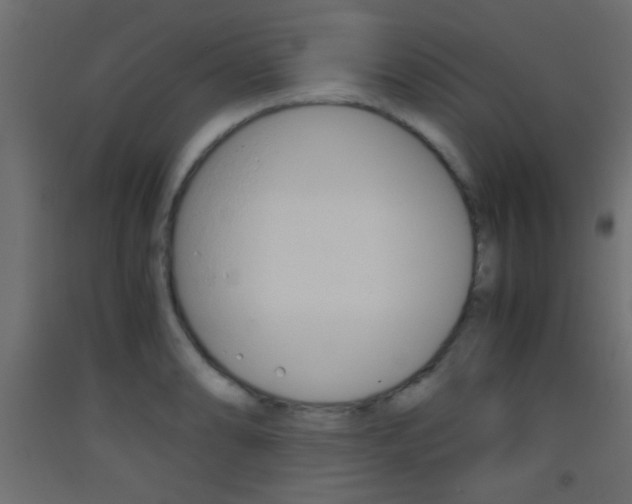X0000093441086200710120941
