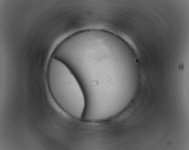 X0000093441088200710120941