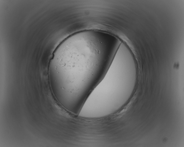 X0000093441089200710120941