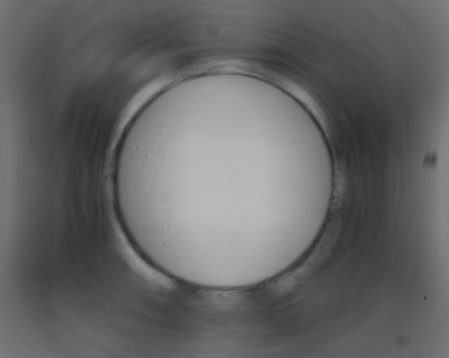 X0000093441090200710120941