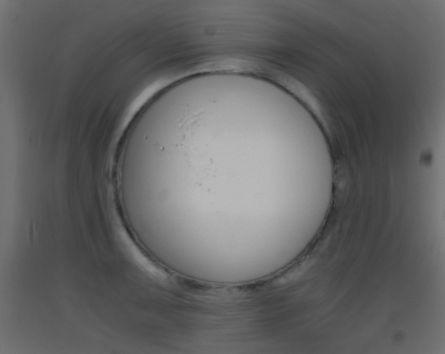 X0000093441091200710120941