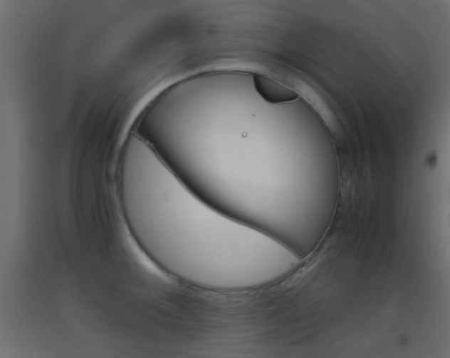 X0000093441092200710120941