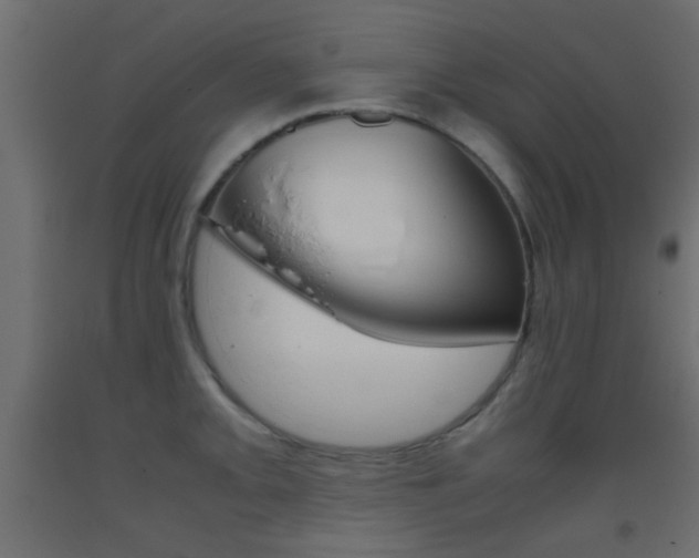 X0000093441093200710120941