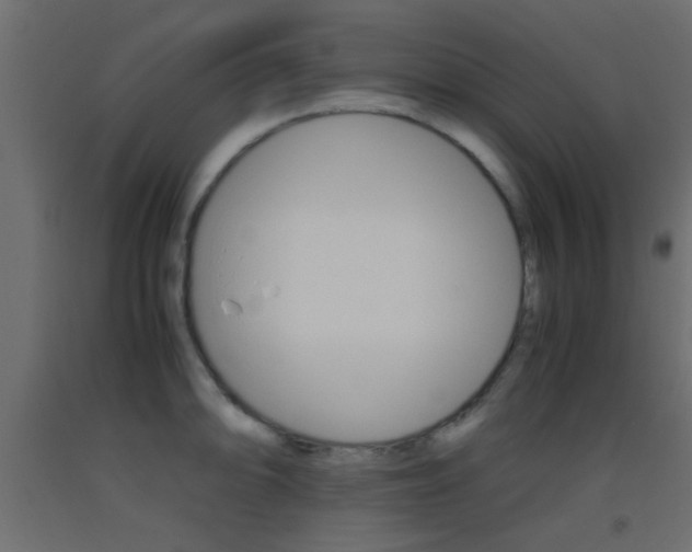 X0000093441094200710120941