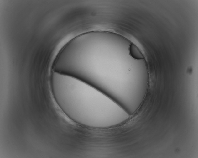 X0000093441096200710120941