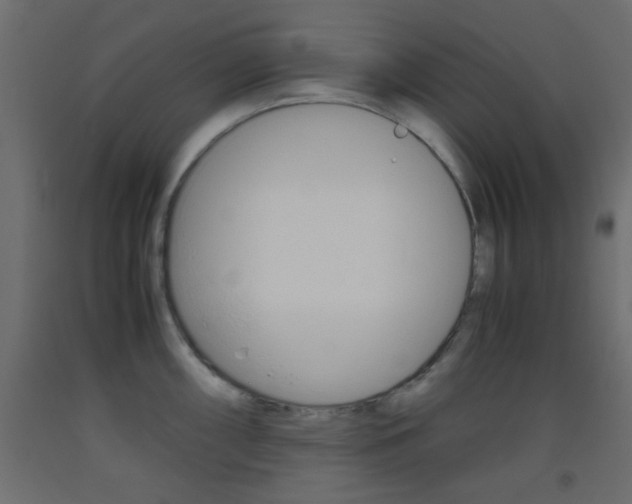 X0000093441098200710120941