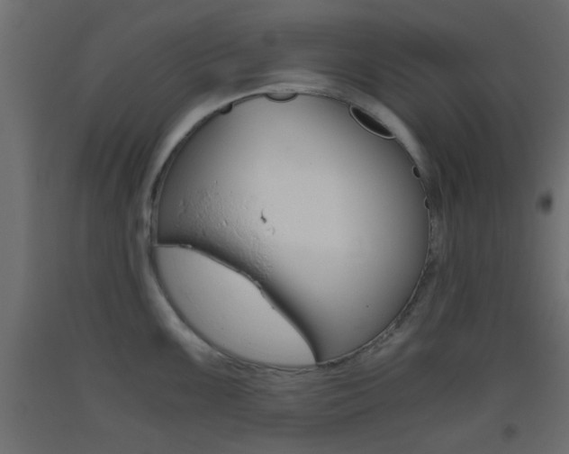 X0000093441099200710120941