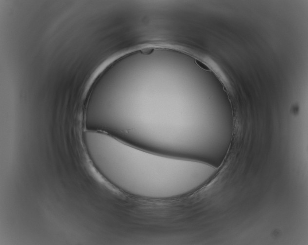 X0000093441100200710120941