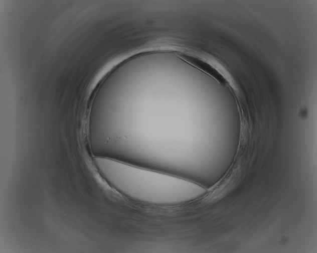 X0000093441101200710120941