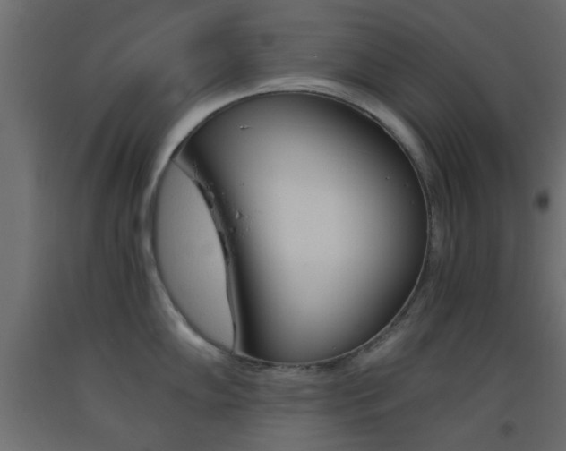 X0000093441102200710120940