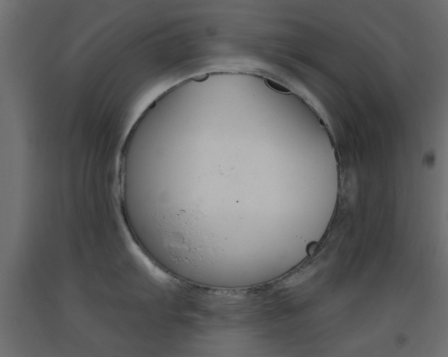 X0000093441103200710120940