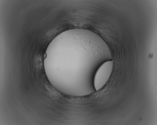 X0000093441106200710120940