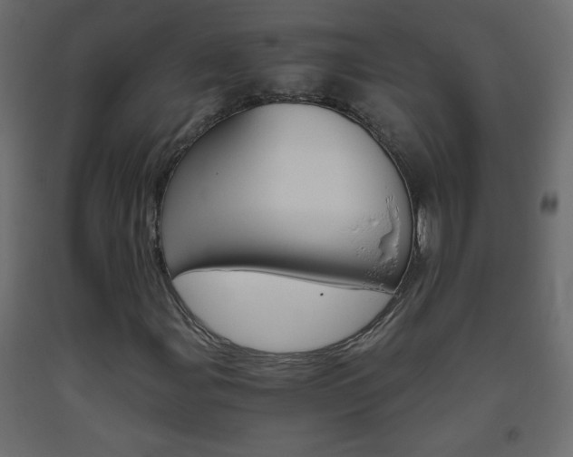 X0000093441107200710120940