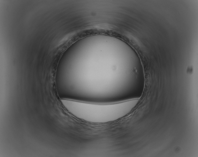 X0000093441110200710120940