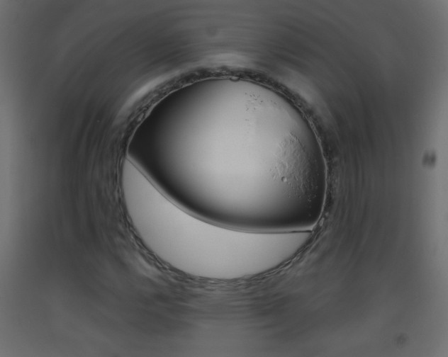 X0000093441112200710120940