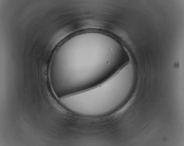 X0000093441113200710120940