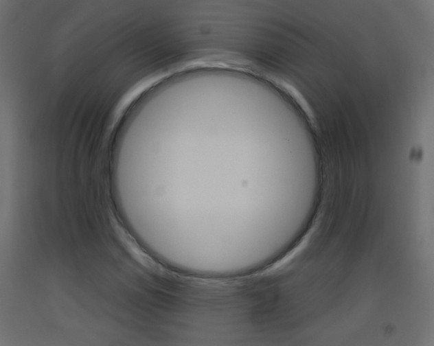 X0000093441114200710120940