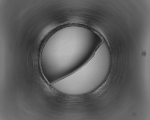 X0000093441115200710120940