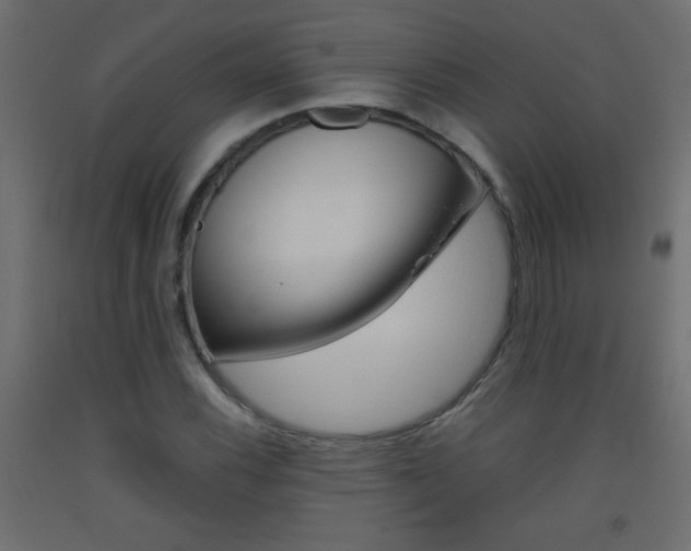 X0000093441116200710120940