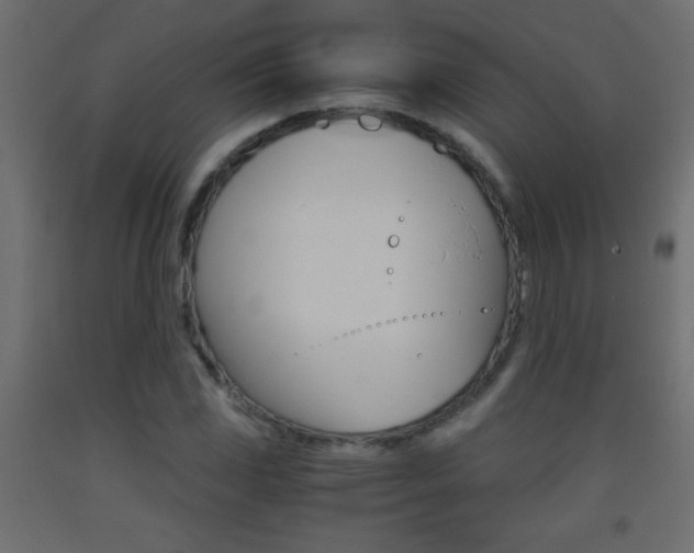 X0000093441117200710120940