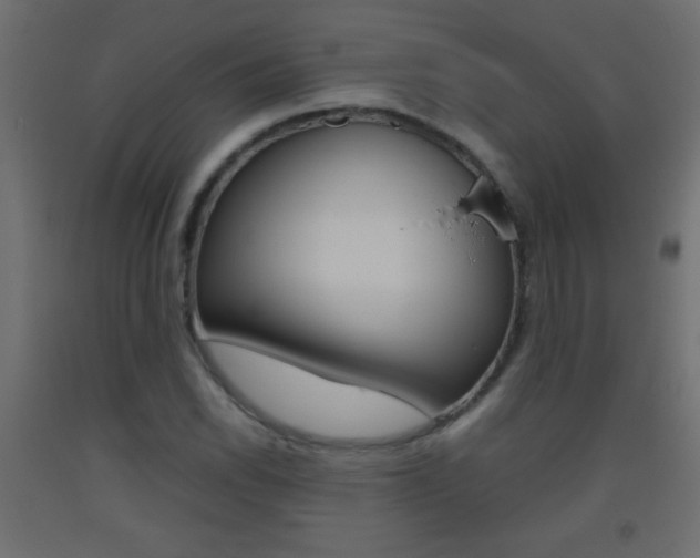 X0000093441118200710120940