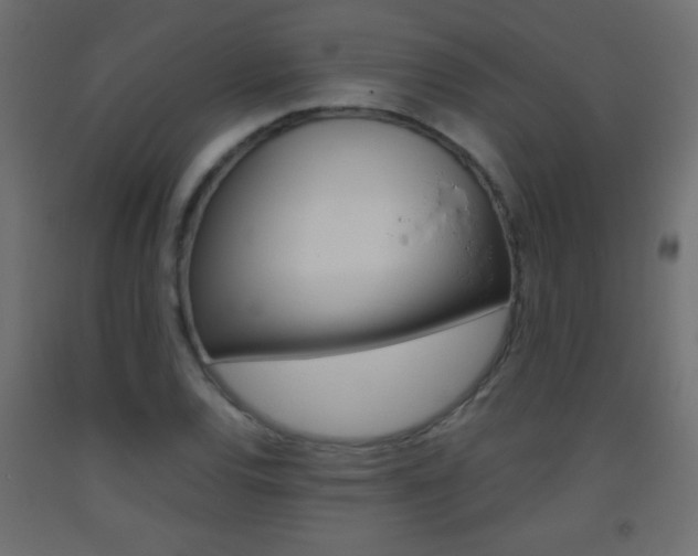 X0000093441120200710120940
