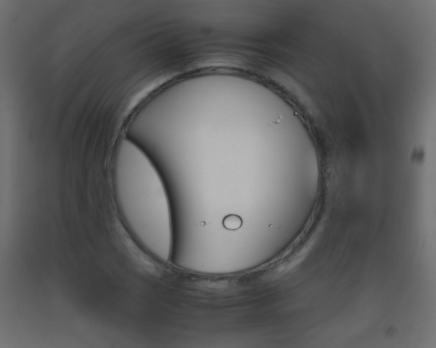 X0000093441121200710120940