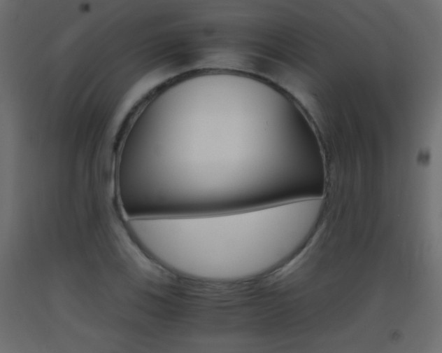 X0000093441123200710120940