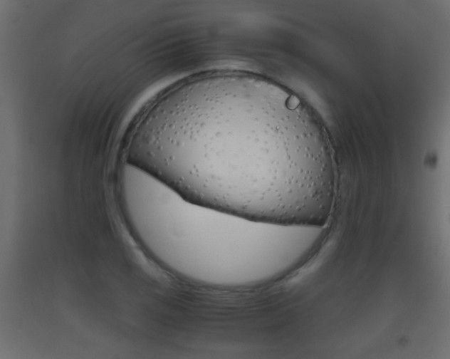 X0000093441125200710120940