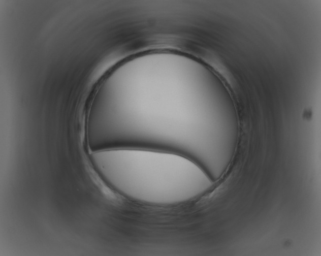 X0000093441127200710120940