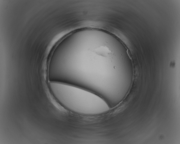 X0000093441128200710120940
