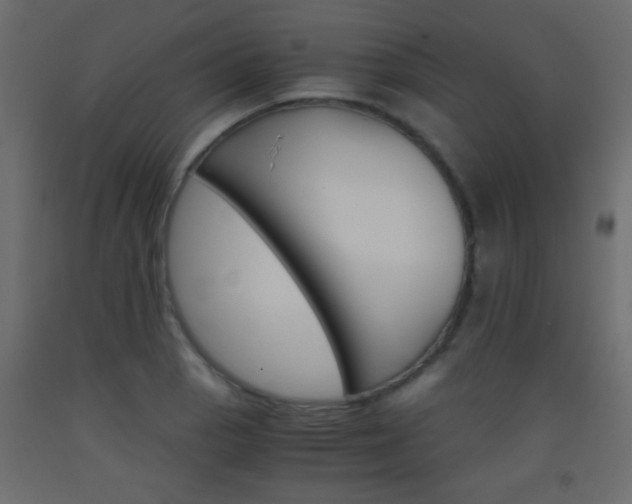 X0000093441129200710120940