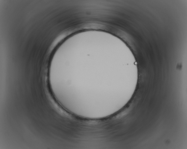 X0000093441130200710120940