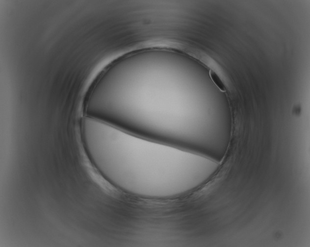 X0000093441132200710120940