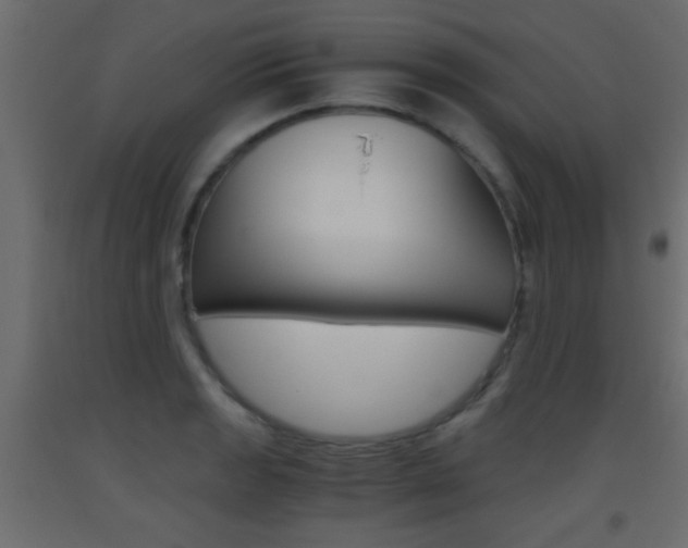 X0000093441133200710120940