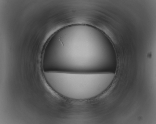 X0000093441134200710120940