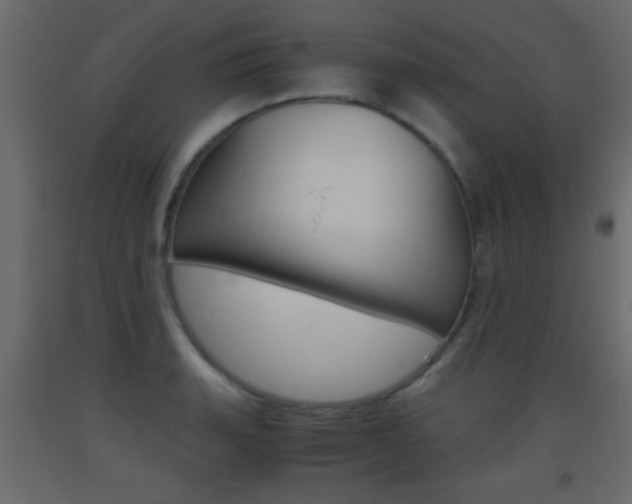 X0000093441135200710120940