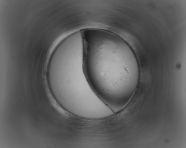 X0000093441136200710120940