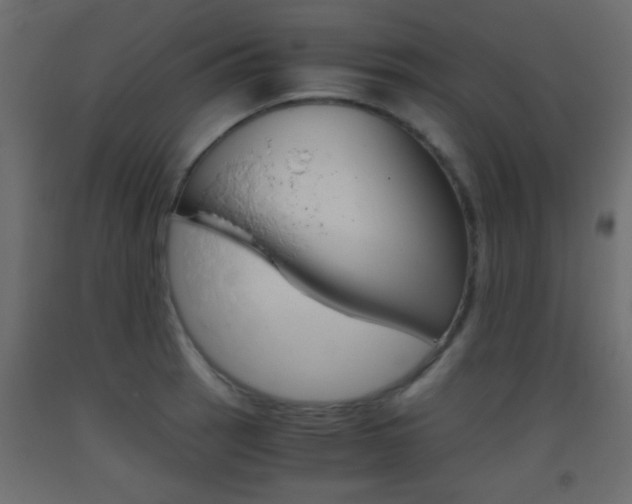 X0000093441137200710120940