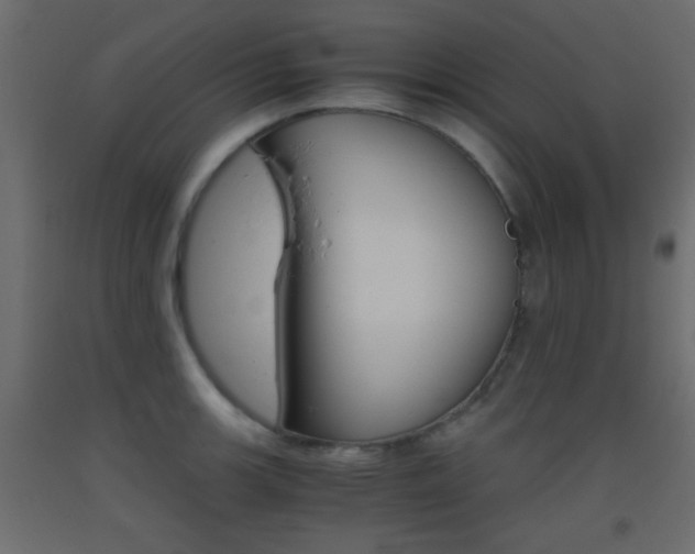 X0000093441139200710120940