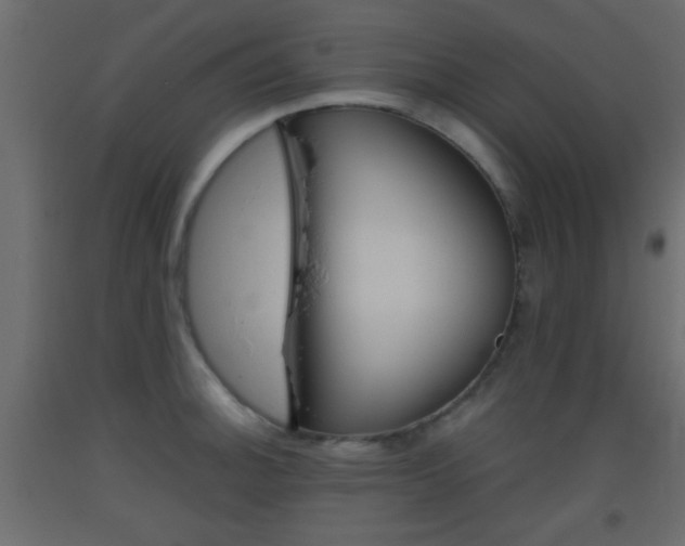 X0000093441140200710120940